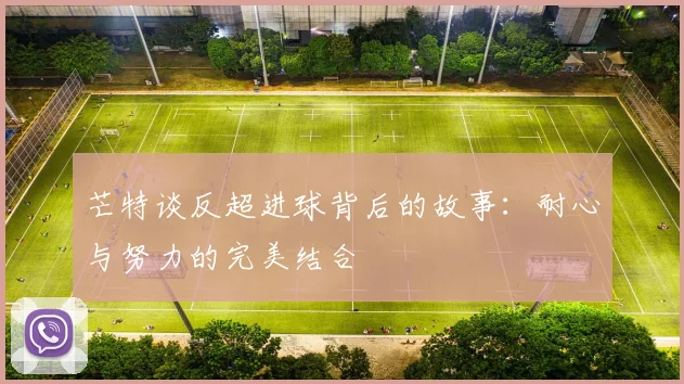 芒特谈反超进球背后的故事：耐心与努力的完美结合