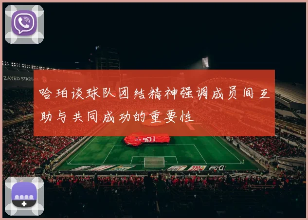 哈珀谈球队团结精神强调成员间互助与共同成功的重要性
